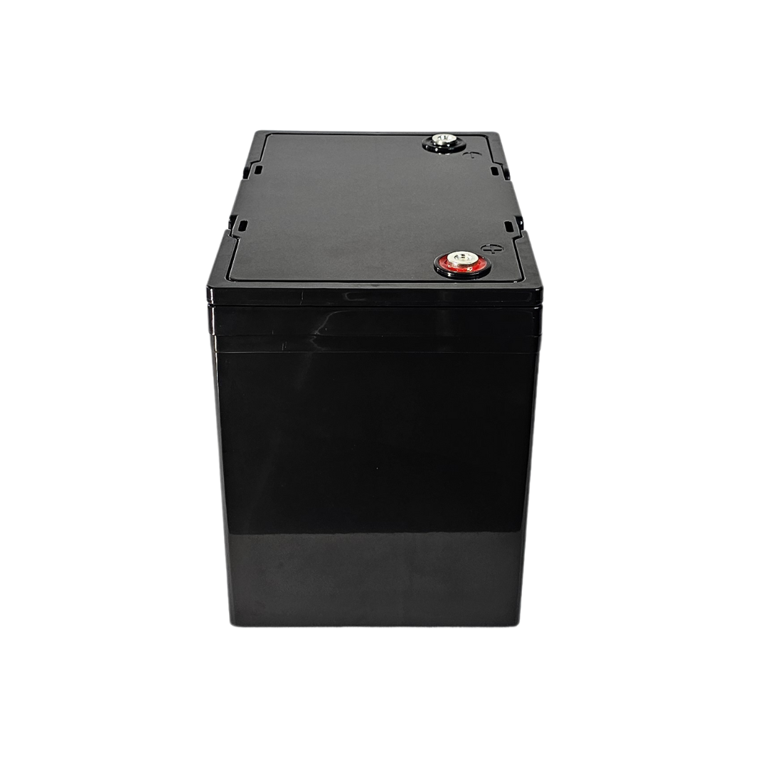EcoStore 100Ah 12V LiFePO4 Battery - (REPT Cells & JBD Bluetooth BMS)